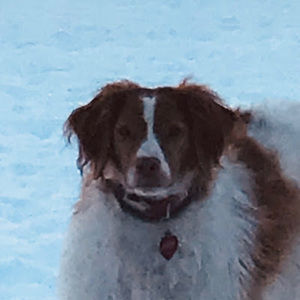 Meet your Posher, Ben